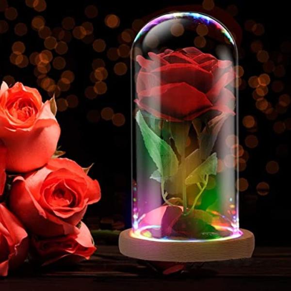 ガラスドーム 花 バラ ローズ Rose in A Glass Dome Beauty and Th...