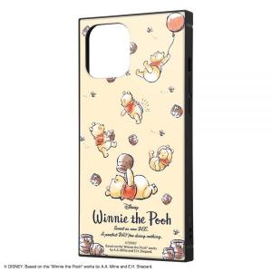 Pro Max iPhone 12 KAKU