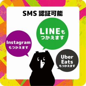 プリペイドSIM 日本 30GB SMS認証可...の詳細画像3