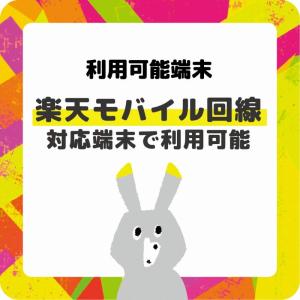プリペイドSIM 日本 30GB SMS認証可...の詳細画像5