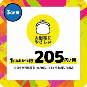 プリペイドSIM 日本 3GB SMS認証可能...の詳細画像4