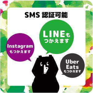 プリペイドSIM 日本 3GB SMS認証可能...の詳細画像3