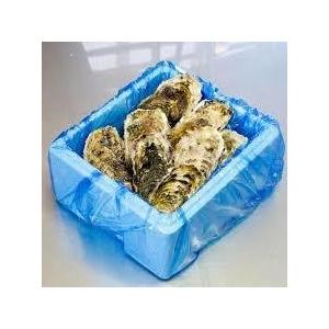 殻付きカキ　殻付牡蠣　カキ　生鮮　加熱用　宮城県産　三陸産　４Ｋ入り