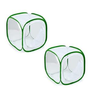 SATiNU 昆虫飼育箱 植物ケージ 標本箱 折り畳み虫かご 昆虫ケージ ポップアップハウジング 通気性 ネット 3色 (D 小2個 緑辺 ホワイト網