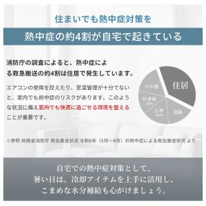 【2026最新モデル・1年保証】 クールエアー...の詳細画像3