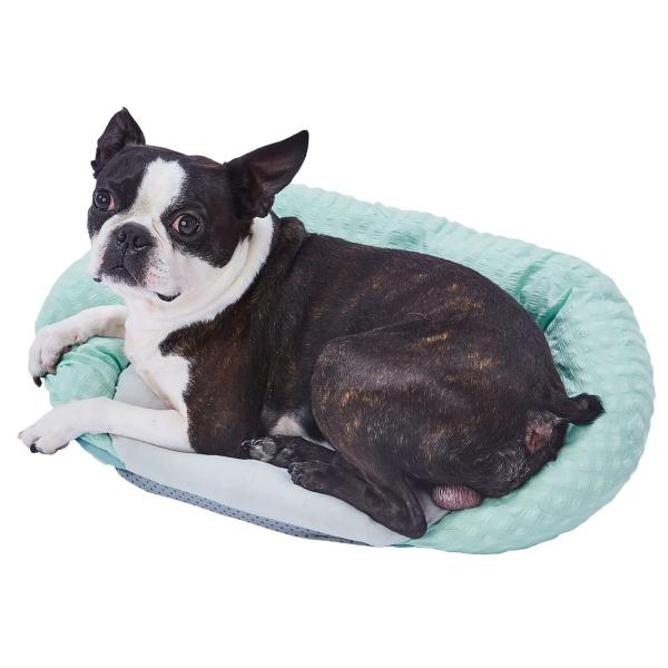 ペティオ (Petio) 犬用ベッド Ｐｏｒｔａ ふっくらフチのひんやりスクエアベッド シーブルー ...