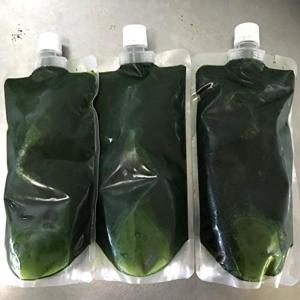 《めだか街道》スタンドパウチ容器で便利保冷剤発送濃縮生クロレラ水１５００ｍｌ