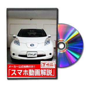 NAX ガラスフレーク2GW 06W 200g 日本ペイント 自動車補修用パール