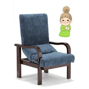 フランスベッド（FRANCEBED） リハテック 背楽チェア SEC-02 ダーク