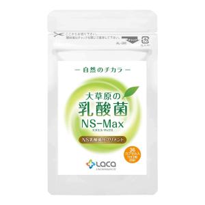 アルタイのNS乳酸菌「新NS-Dx」 : SandS-market - 通販 アルタイのNS乳酸菌「新NS-Dx」 : SandS-market - 通販