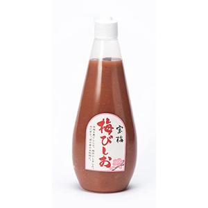 宝梅 梅びしお 580g チューブ入 大 UBT-18