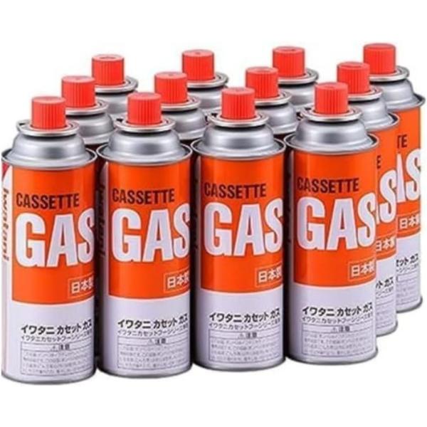 IWATANI イワタニ カセットガス カセットボンベ 12本セット カセットフーシリーズ CB-2...