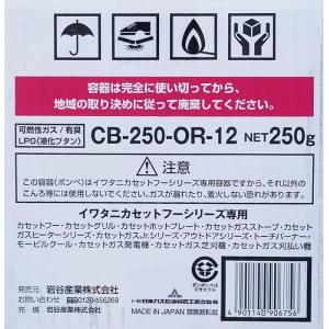 IWATANI イワタニ カセットガス カセッ...の詳細画像1