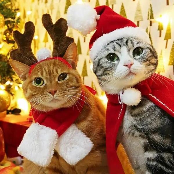 ペットの猫の犬のスカーフ,帽子,ケープ付き,クリスマス服,冬のコスチュームギフト,新年のマンタレッド...