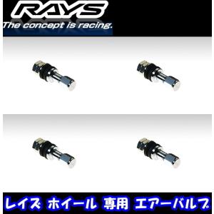 自動車 ティーダ NC11 ボンネット・フードパネル 15M4 4WD F5100-ED0MM KY0