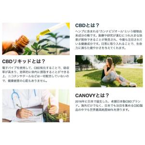 【定番】国産CBDリキッド (メンソール)|C...の詳細画像2