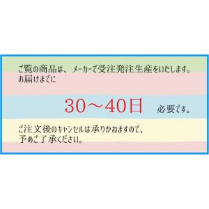 ボウリング ボウリングウェア T-スポーツ T...の詳細画像1