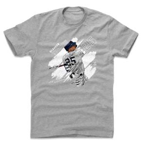 グレイバー・トーレス Tシャツ MLB ヤンキース Stripes T-Shirt 500Level ヘザーグレー｜mlbshop