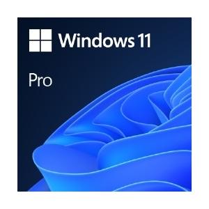 Windows 11 Pro 64bit 日本語 DSP版｜mlf