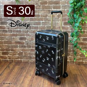 スーツケース Sサイズ 30L 機内持ち込み可 ディズニー ミッキーマウス キャリーバッグ ファスナータイプ キャリーケース DNY2246-48