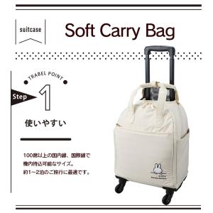 ミッフィー ソフトキャリーバッグ SSサイズ ...の詳細画像2