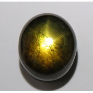 2804【希少】 ゴールデンスターサファイア ルース 9.06ct Thama Chantaburi タイ : 瑞浪鉱物展示館 【送料無料】｜mm-museum