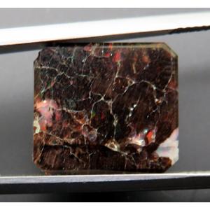 3703【外国鉱物標本 ルース】木化タンパク石 ウッドオパール 9.47ct 有名なバージンバレー産...