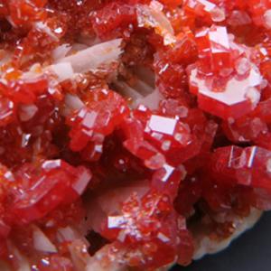 褐鉛鉱 Vanadinite 鉱物標本 美結晶 著名産地 モロッコ 瑞浪鉱物展示館 4967｜mm-museum