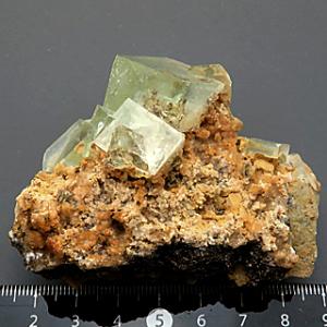 蛍石 Fluorite 鉱物標本 中国 瑞浪鉱物展示館 5318