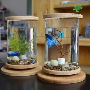 ベタ 水槽 おしゃれの商品一覧 通販 Yahoo ショッピング