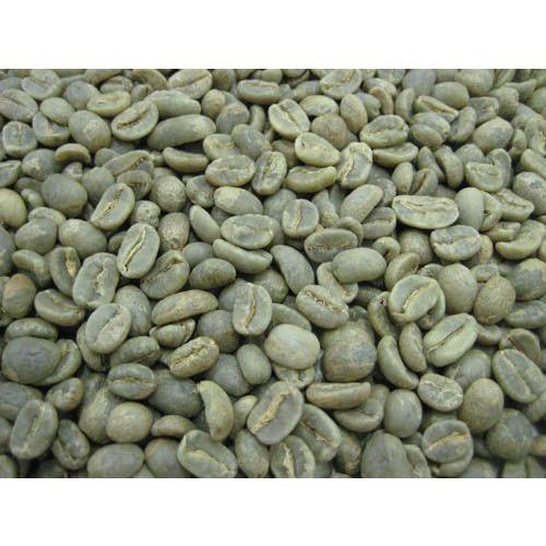 コーヒー生豆　コロンビア エクセルソ　10kg