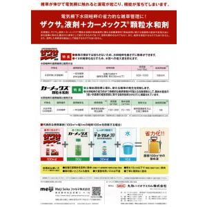 カーメックス顆粒水和剤 300gの詳細画像2