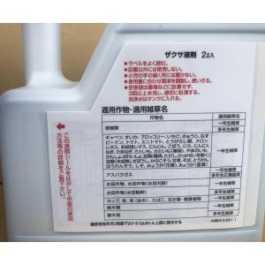 ザクサ液剤 2L 最終有効年月2027年10月の詳細画像2