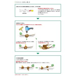 ケイピンエース 50本入の詳細画像1
