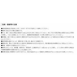ケイピンエース 50本入の詳細画像3