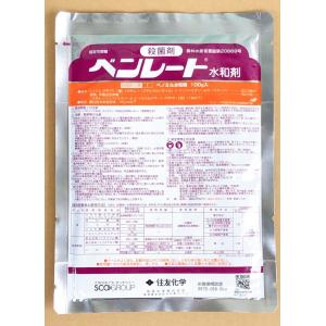 ベンレート水和剤　100g