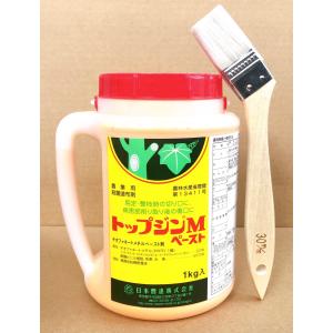 トップジンMペースト　1kg　ハケ付き｜農園芸と雑貨の店エムエムショップ