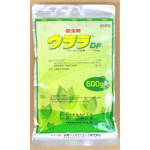 ウララDF　500g