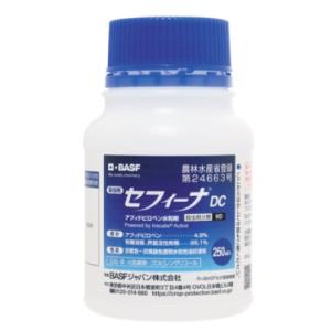 クルーザーMAXX 240ml : 農家のお店おてんとさん - 通販 - Yahoo