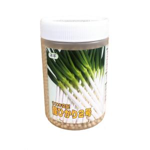 ねぎ 羽緑一本太葱ペレット種子 5000粒 （株）トーホク : グリーン