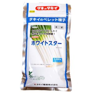 深緑のほほえみ TSX-489 5000粒(コート) 葱 ネギ ねぎ ダイヤ