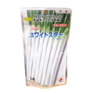 おはよう コート 5000粒 ブロッコリー 種 : 農園芸と雑貨の店エムエム