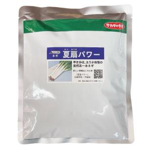 夏扇パワー　6000粒　ねぎ　ペレット種子
