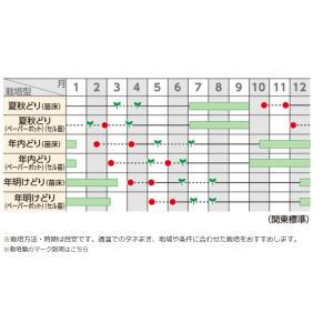 夏扇パワー 6000粒 ねぎ ペレット種子の詳細画像1