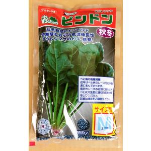 おはよう コート 5000粒 ブロッコリー 種 : 農園芸と雑貨の店エムエム