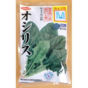 おはよう コート 5000粒 ブロッコリー 種 : 農園芸と雑貨の店