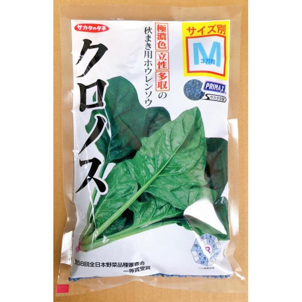 クロノス　ほうれん草　Mサイズ　3万粒　種