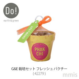 パクチー 栽培 室内の商品一覧 通販 Yahoo ショッピング