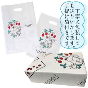 オードリー グレイシア ミルク5個入り ホワイ...の詳細画像1