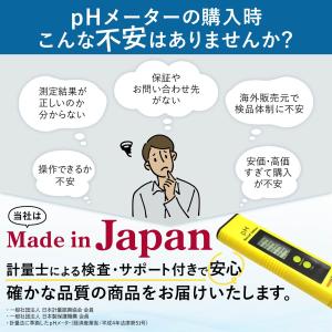 pHメーターSpecial Edition 日...の詳細画像1